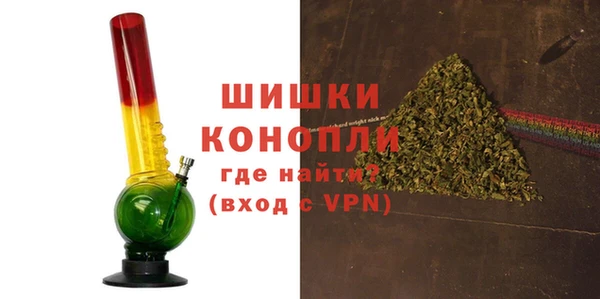 прущие грибы Богородск