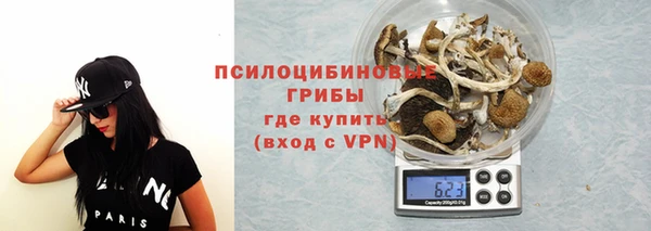 прущие грибы Богородск