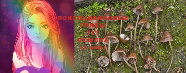кокаин перу Богданович