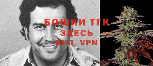 mdma Богородицк