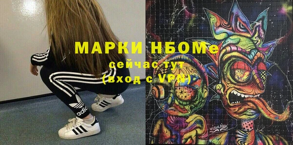 прущие грибы Богородск