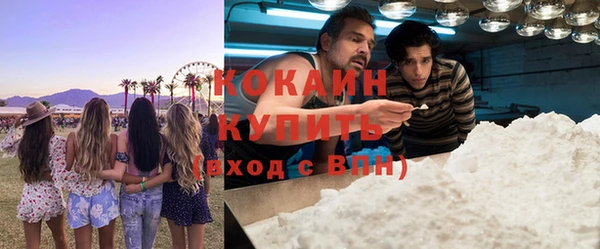 прущие грибы Богородск