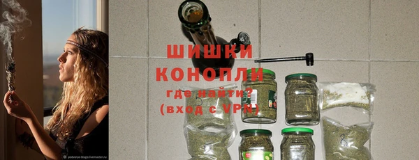 прущие грибы Богородск