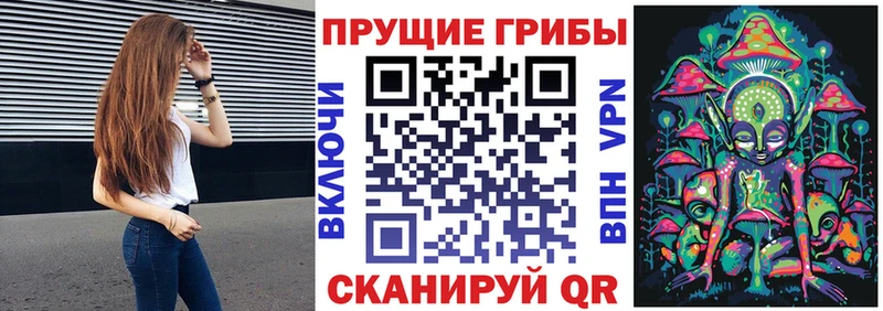 Псилоцибиновые грибы ЛСД  сайты даркнета наркотические препараты  Константиновск  где купить  